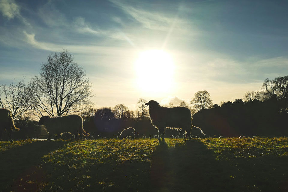 Explore the Real Yorkshire Dales Behind All Creatures Great and Small