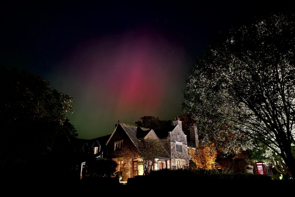 Stargazing and a Starlit Walk