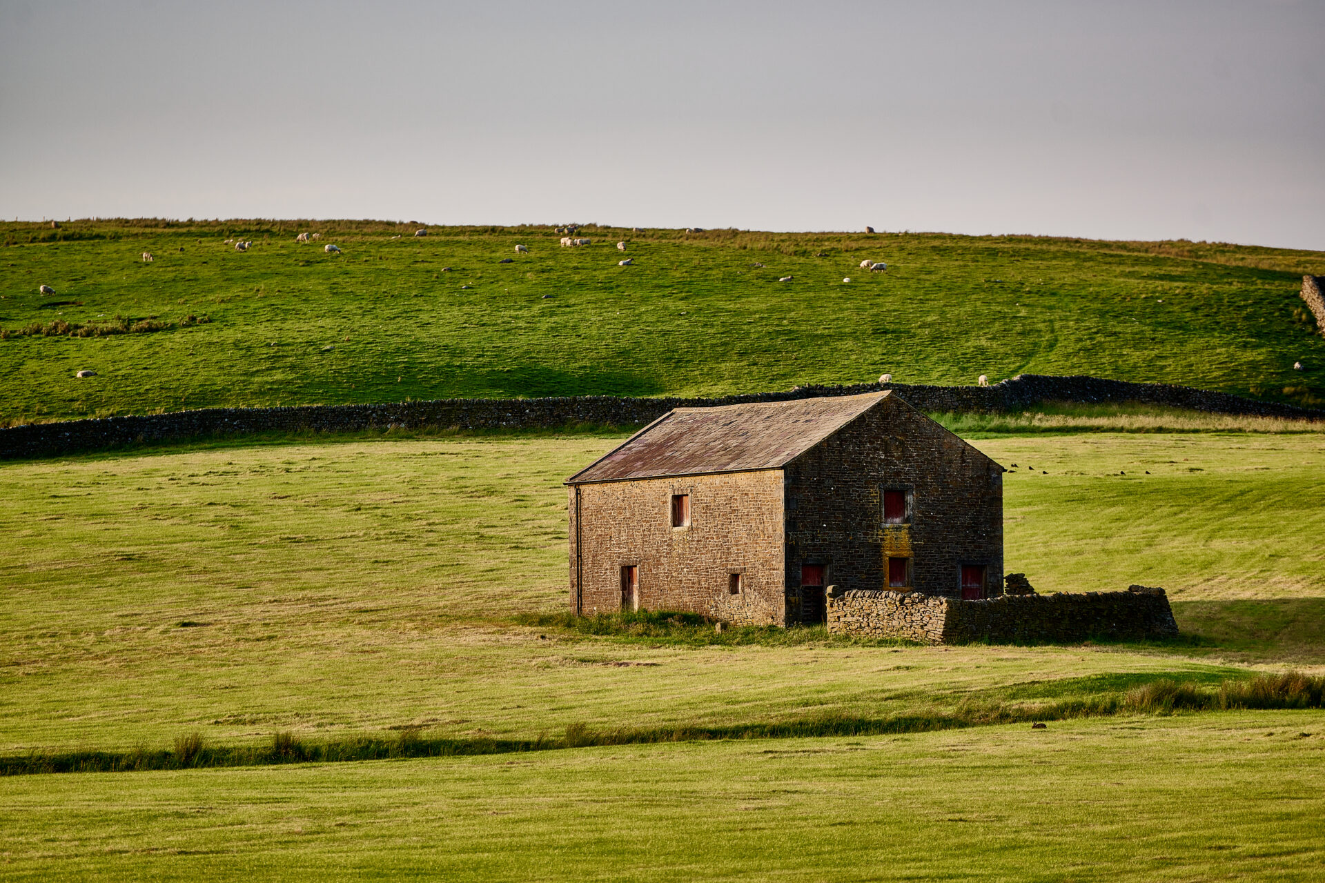 Yorkshire Dales Dog Friendly Walks Stone House Hotel Blog Image 2
