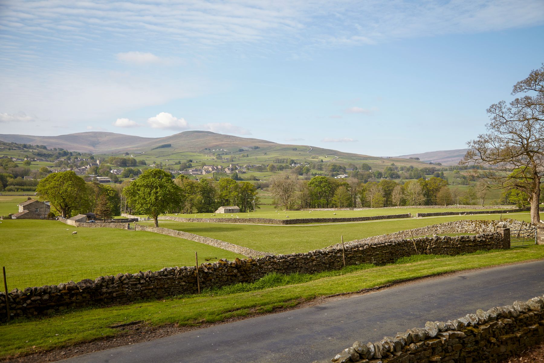 Yorkshire Dales Dog Friendly Walks Stone House Hotel Blog Image 4