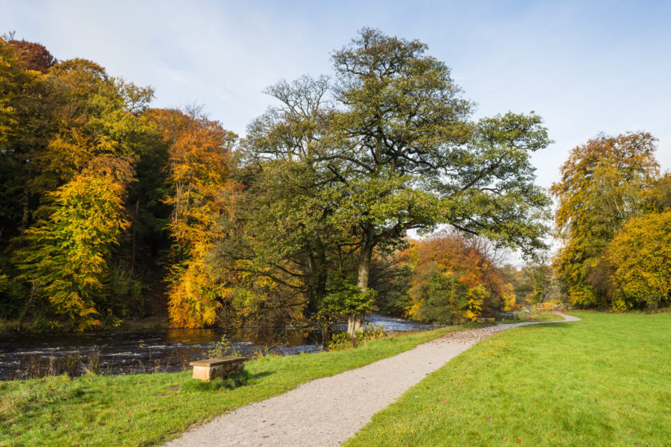 Autumn trails in the Dales you need to take this year